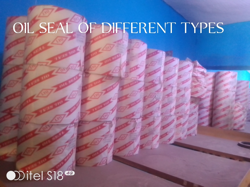 Oil Seal Kit