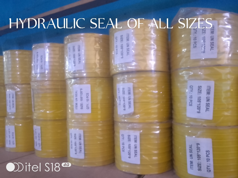Hydraulic Seal Kit